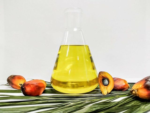 Crude Red Palm Oil and refined Palm oil Shortening Refined Vegetable Cooking Red Palm Acid Oil Bulk Price Sale Red - Image 3