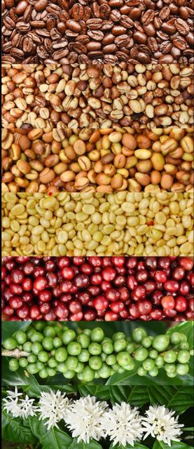 Coffee beans – product photo 1, product detail gallery