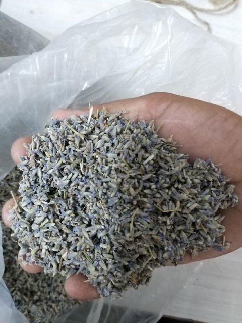 Dried Lavender Grade FOOD Packaging HDPE BAGS Max. Moisture (%) 8% Shelf Life 24 MONTHS Place of Origin INDIA Storage Type COLD STORAGE - Image 1