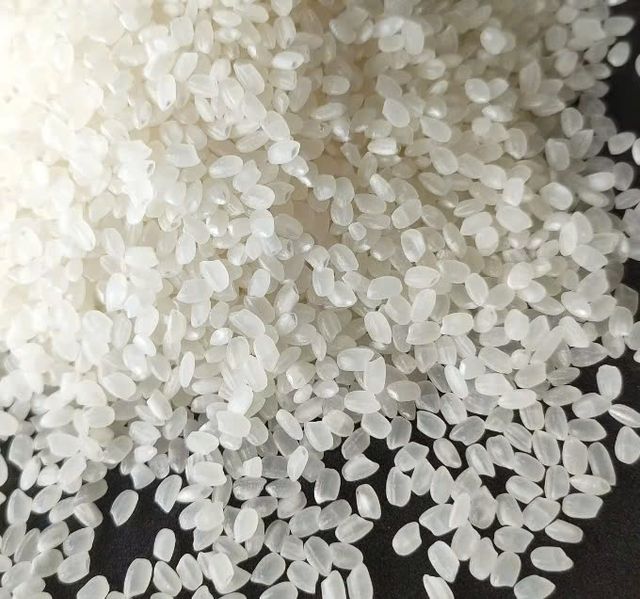 Short Grain Rice, Japonica rice vietnamese rice rice vietnam, Healthy and Delicious Cheapest price - Image 5
