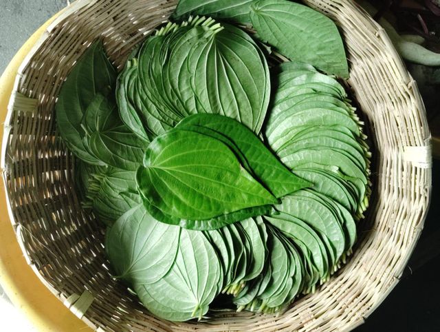 fresh betel leaves - Image 1