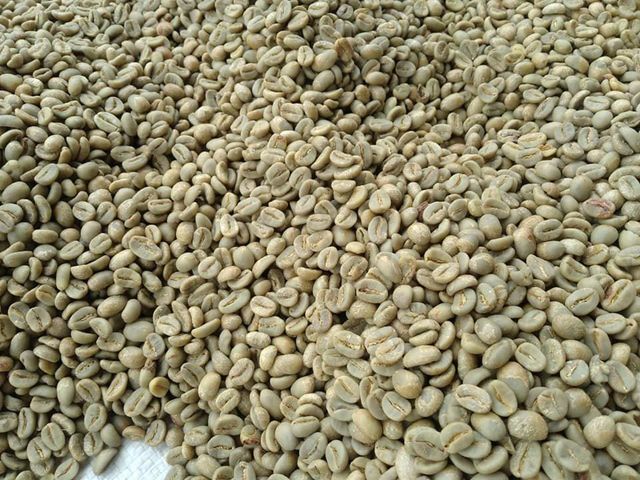 Arabica and Robusta coffee Beans Size 12, 14 16, 18 Weight (kg) 50-60KG Processing Type washed Packaging 50-60KG BAGS Grade Arabica and - Image 2