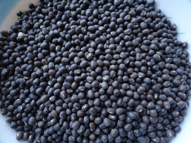 Organic split black urad dal - Image 4