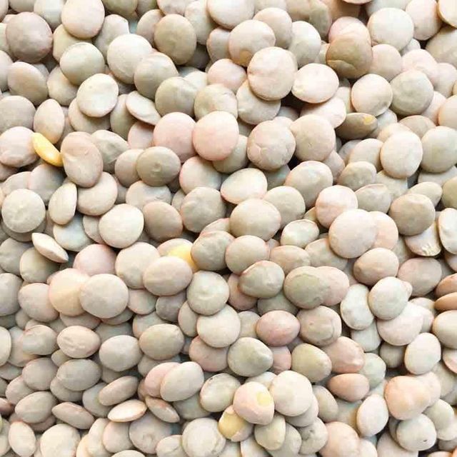 Fresh Green Lentils Factory Direct Green Lentils Bulk Wholesale Available Premium Quality Fast Delivery - Image 4