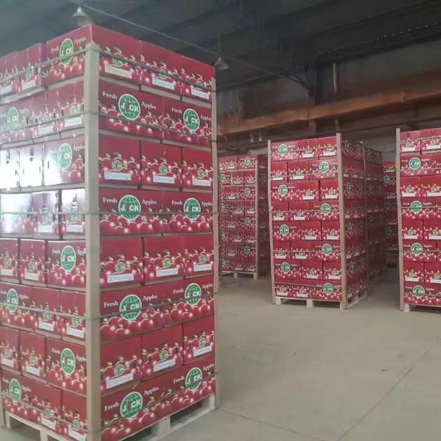 Premium Fuji Apples 65#-80# SGS Certified - Image 4