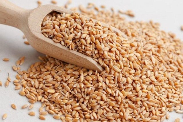 Milling Wheat Moisture ≤ 14% Origin South Africa Yeast And Mold ≤ 10² Cfu/g Acidity ≤ 4.0° (ml 0.1n Naoh) Total Plate Count ≤ 10⁴ - Image 1