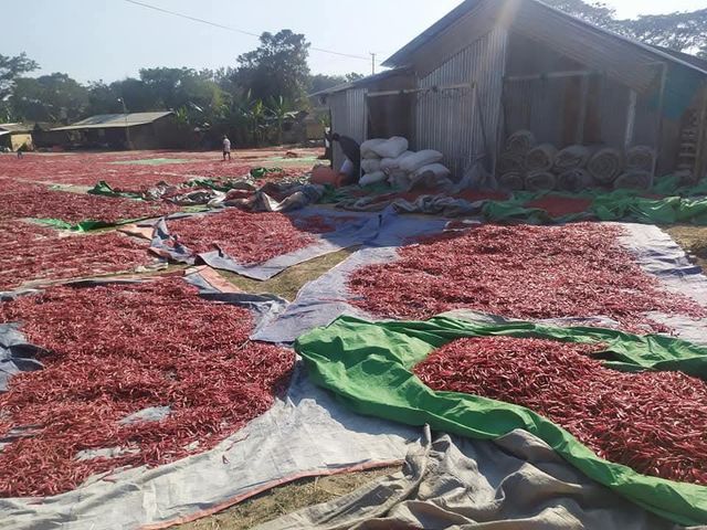 Dry Red Chilli - Image 2