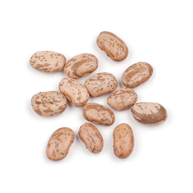 Organic Pinto Beans offered for health food and natural product markets - Image 2