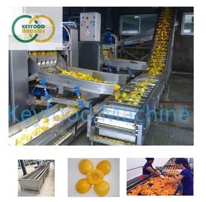 Automatic Canned Yellow Peach Orange Fruit Production Line - Image 6