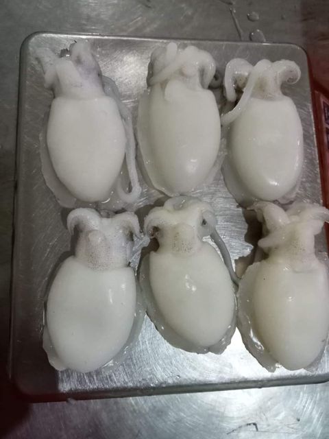 Frozen Baby Cuttlefish Whole Cleaned Premium Quality - Image 2