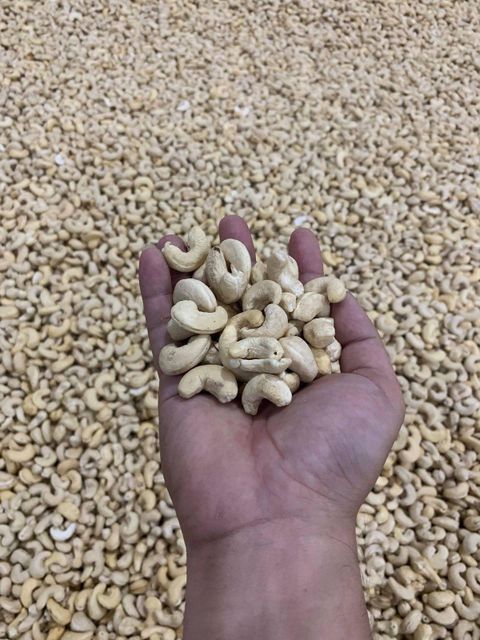 Premium W320 Cashew Kernels Wholesale Raw Cashew Nuts Bulk Supply Supplier Food Grade Best Price Export - Image 1