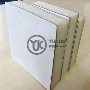 Customized Anti-Impact FRP Panel with Sponge Interlayer Shape Flat Origin China Fire Rating 1 Life 30 Years Width up to 3m - Image 1