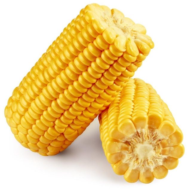 Sun Dried Farm Harvest White/Yellow Maize Featuring Bright Kernels For Import Buyers Looking For Premium Grain Sources - Image 1
