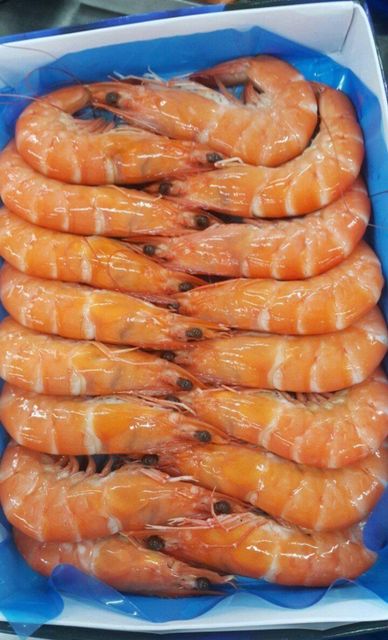 Frozen Tiger Shrimps / vannamei shrimp / Lobsters Packaging 10kg Form Deepfrozen, Iqf Shelf Life 24 months Style Frozen, Bt.choso - Image 1