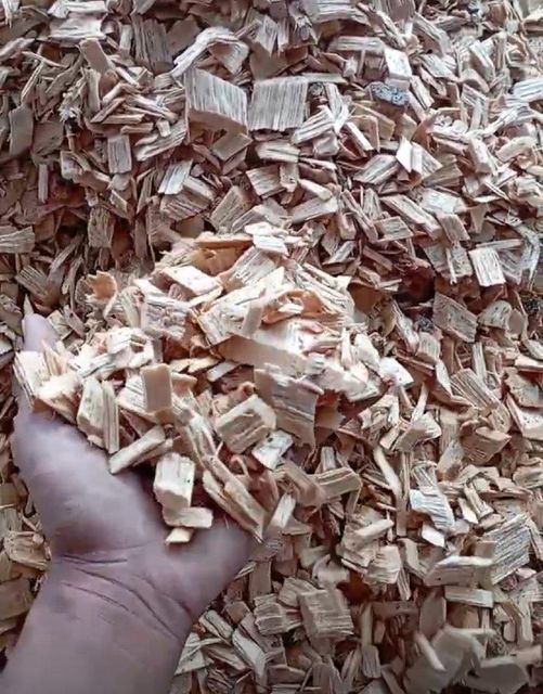 Hardwood chip acacia & eucalyptus Moq 25000 Mt Origin Indonesia, Brazil Condition Well Sorted, Clean, And Dry Monthly Supply Capacity 600000 Mt Or More - Image 4