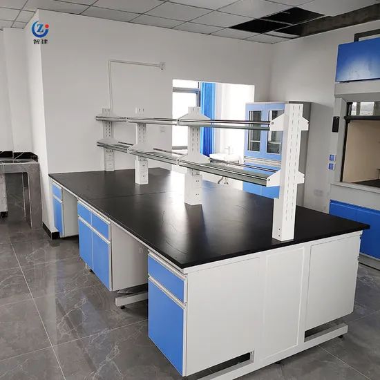 Lab Furniture Rack System Table Laboratory Bench Price Origin China Condition New Trademark TOPFEA Model NO. ZJIB001 HS Code - Image 6