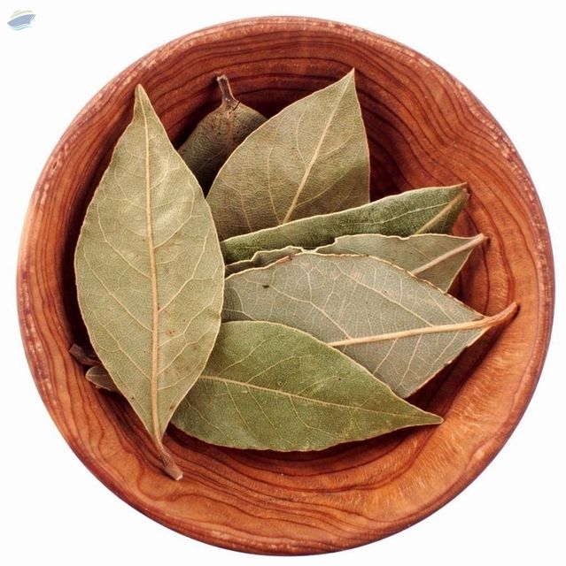 Bay Leaf Bay Leaf - Image 1