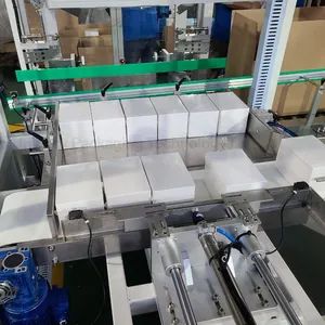 Full Automatic Box Case Carton Sealing Cartoning Machine for Bulk Gloves - Image 6