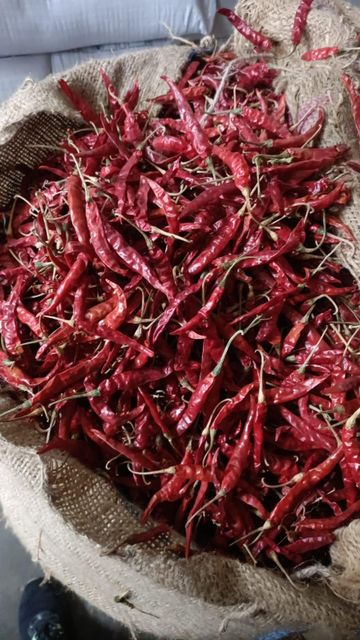 Red chilli Packaging Jute bag Max. Moisture (%) 13% Type S17 (teja chilli) Specification 3-4% dis colour - Image 2