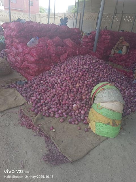 Onion and potato - Image 1