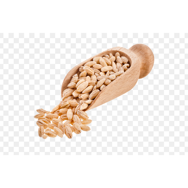 Bulk wheat grains arranged for discount price procurement and reliable supply - Image 3