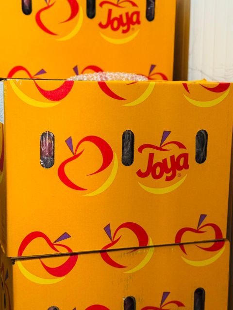Fresh Quality Joya Apples for sale - Image 5