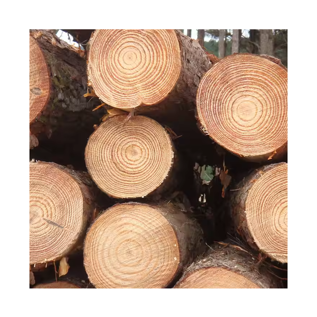 Wholesale Wood Supplier | Spruce Round Logs For Wood Timber / Lumber - Image 4