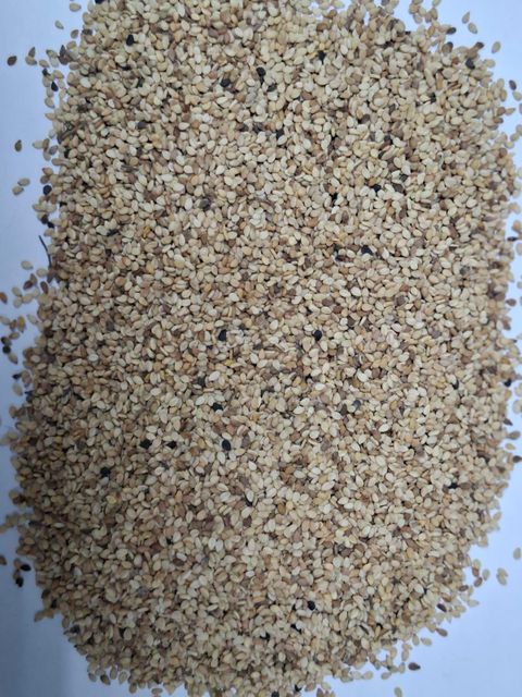 Sesame Seed - Image 1