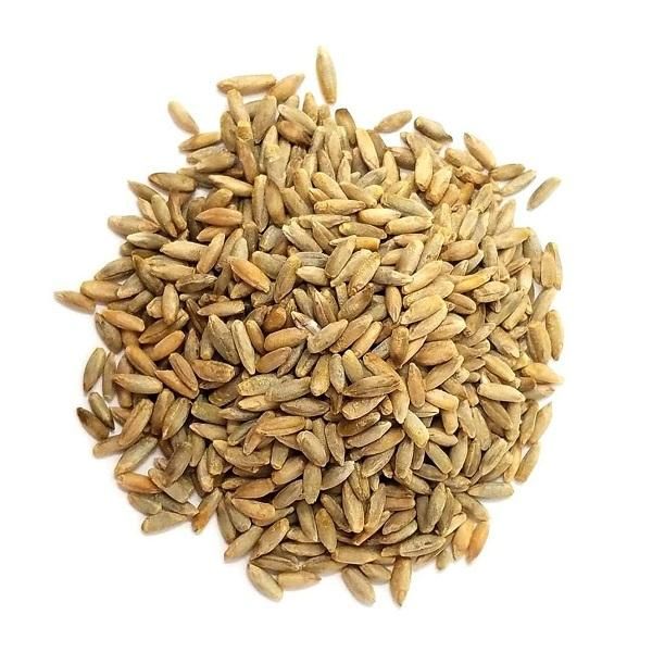 High Quality Organic Rye Grains Available For Sale At Low Price - Image 1