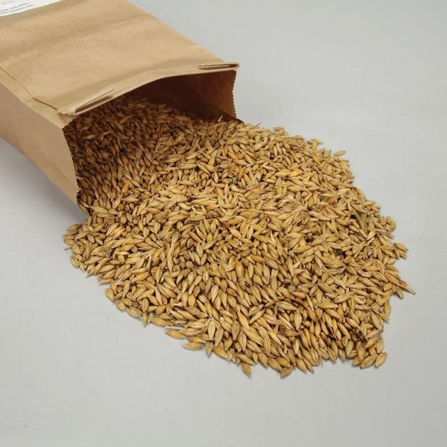 Bulk Barley Grain With Rich Nutrients Premium Barley Grain Ideal For Animal Feed And Food Industry Buyers - Image 3