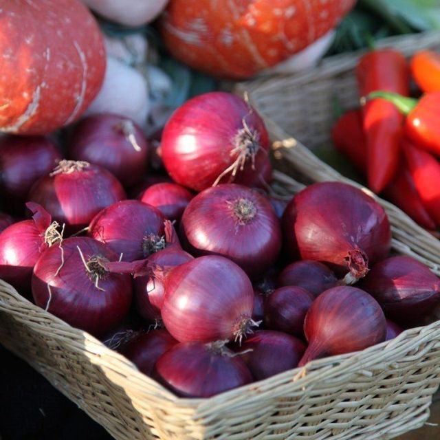 Premium Fresh Red Onions Rich in Flavor for Food Processing and Market Supply Bulk Quantity Available - Image 4