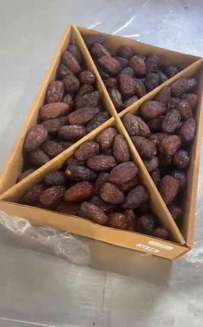 Egyptian Dates - Image 2