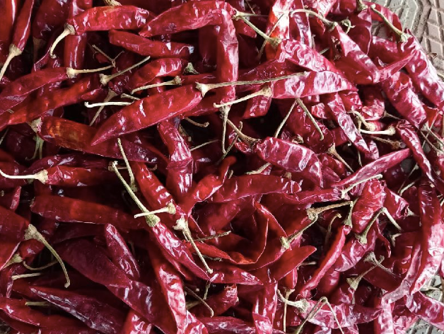 Red Chili Powder – product photo 3, product detail gallery