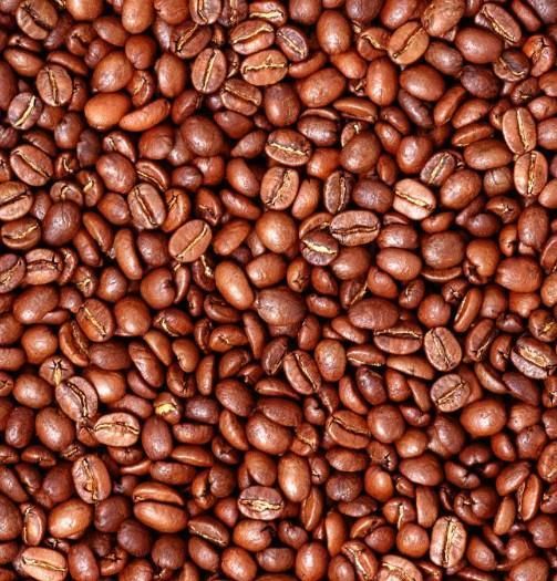 Roasted Robusta Coffee beans Type Roasted Robusta Coffee - Image 2