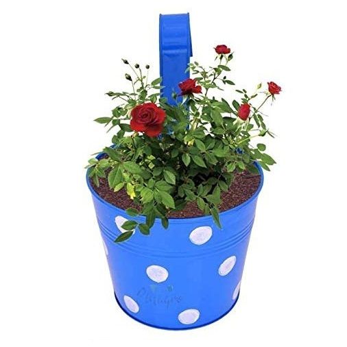Attractive design metal planter pot flower design wall hanging hanger stand customized size metal flower pot - Image 4