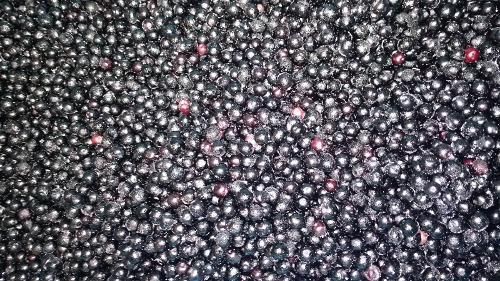 Iqf Elderberry - Image 1