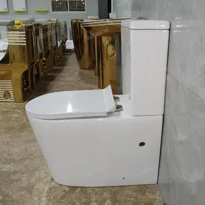 Australian Style Back to Wall Wc S-Trap P-Trap Available Ceramic Rimless Two Piece Toilet - Image 5