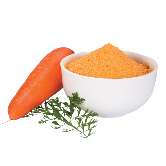 High Quality Wholesale Carrot Powder Supplier | Pure Dehydrated Carrot Powder Made from Fresh Selected Carrots, Ideal for Soups, Sauces, Bakery Products, Health Supplements, Baby Nutrition, and Instant Foods | Rich in Nutrients, Natural Flavor, Fine Texture, No Additives, Available in Bulk Packaging for Industrial and Food Service Use - Image 1