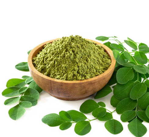 Moringa Extract (Moringa oleifera) - Image 1