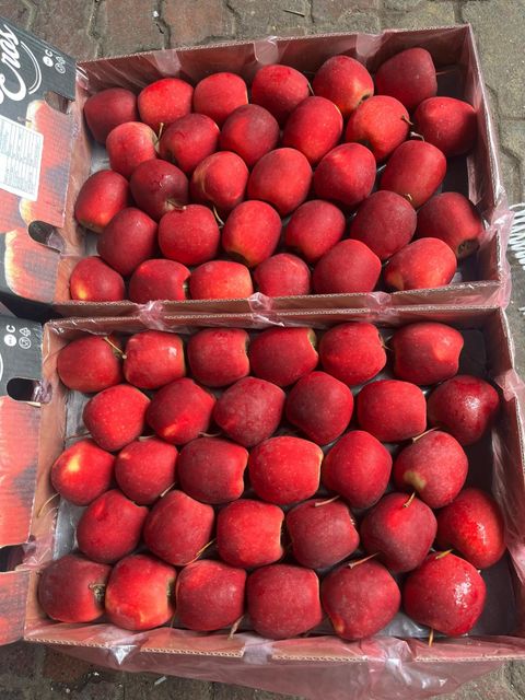 Export Quality Fresh Red Beaut Apples for sale - Image 3