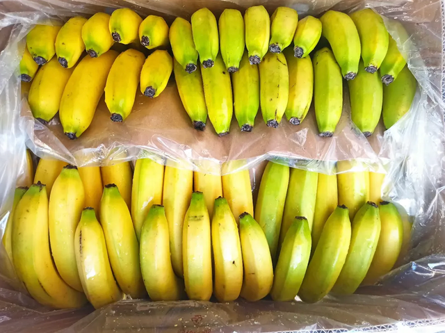 RELIABLE SUPPLY DEL MONTE QUALITY FRESH BANANAS,HEALTHY CAVENDISH BANANAS RICH IN POTASSIUM 13Kg-18Kg Packaging - Image 4