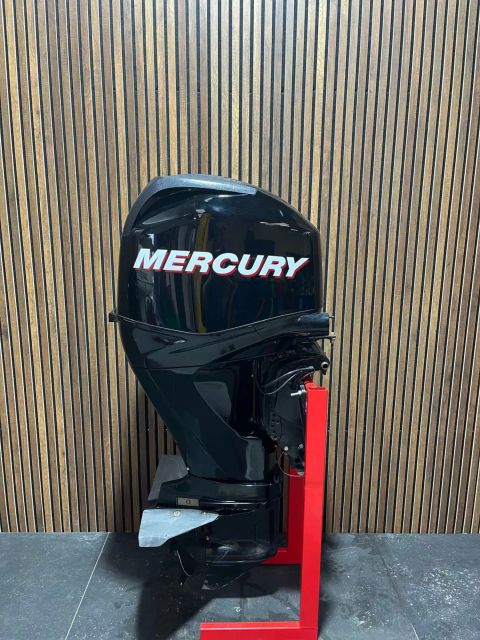 Mercury 50 HP EFI Boat Motor - Image 1