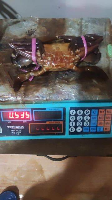 mud crab Meat Quality Meaty Crab Health Healthy Crab Freshness Fresh Crab Box Design Vertical Environmental Impact Environmental - Image 1