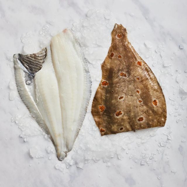 Top Quality Frozen Plaice Fish IQF Whole Fillet Flatfish for Hotels Restaurants and Markets - Image 3