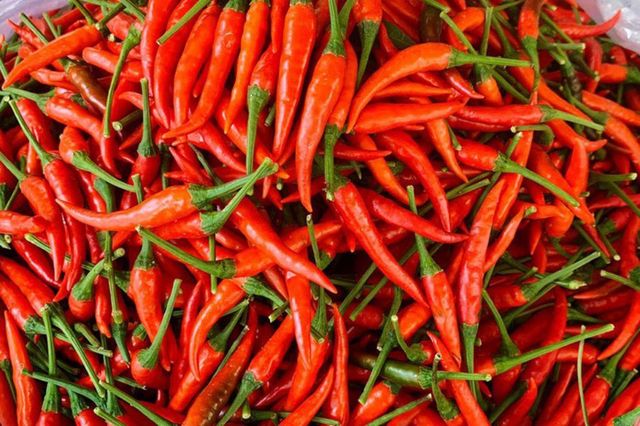 Whole Fresh Chili - Image 1