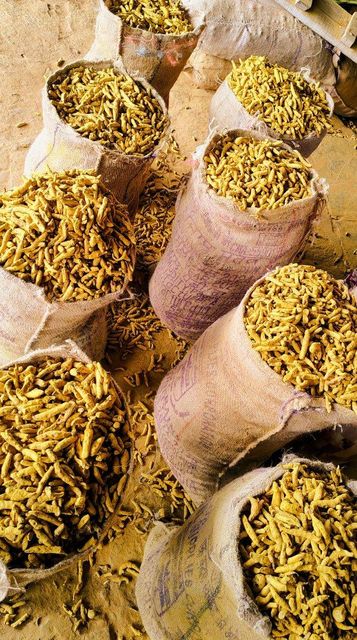 Turmeric - Image 3