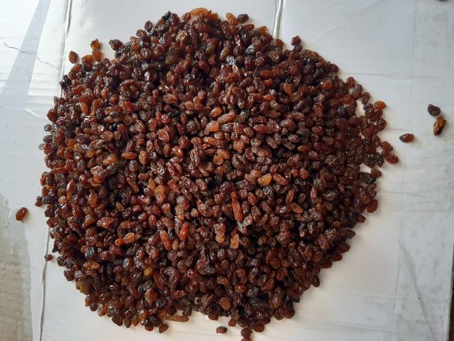 Sultana Raisins Quality AAA Packaging 12.5 kg - Image 1