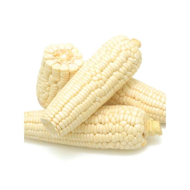 Fresh white maize available in bulk best deal for business buyers - Image 3