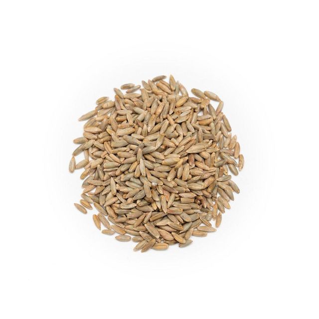 Wholesale rye grain bulk supply for flour mills and food industry - Image 3