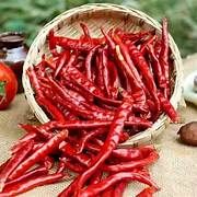U2U316 -U AthvikaSpice Red Chili Whole Shape Dried Spices Best Feature Spicy Red Color Tasting Food Single Spice And Herb - Image 3